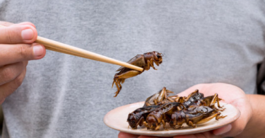 Edible Insects And Their Health Benefits