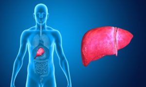 Health Tips for A Healthy Liver