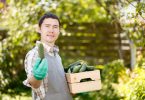Cucumber benefits for men