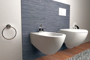 Why You Should A Bidet in Your Toilet