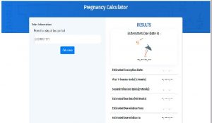 Pregnancy Due Date Calculator