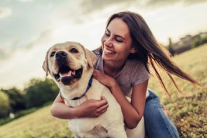 CBD for Dogs