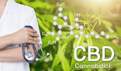 How Do You Know Which CBD Dosage is Right for You?