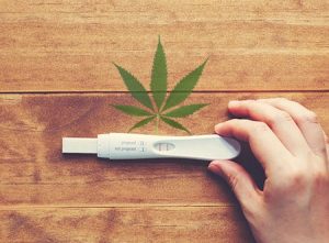 Facts about cannabis and pregnancy