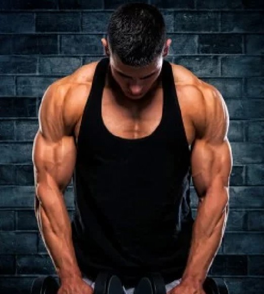 natural steroids for anabolic diet