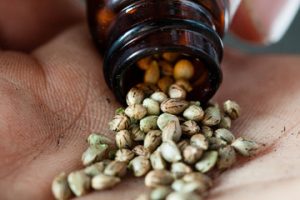 Health benefits of Marijuana seeds 