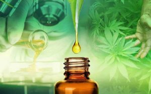 Facts about Using CBD oil for Autism and Anxiety 