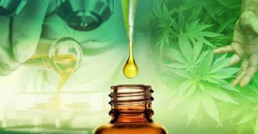 Facts about Using CBD oil for Autism and Anxiety