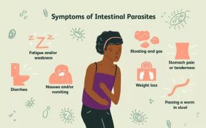 Symptoms of Intestinal Parasites