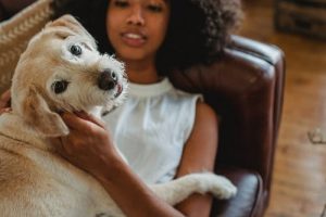 Best Pets for Mental Health