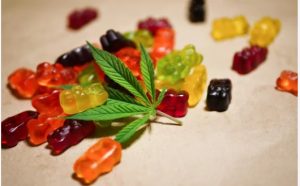 CBD gummy bears