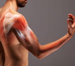 Ways To Improve Tendon Health