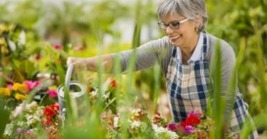 Emotional Benefits of Gardening for Elderly