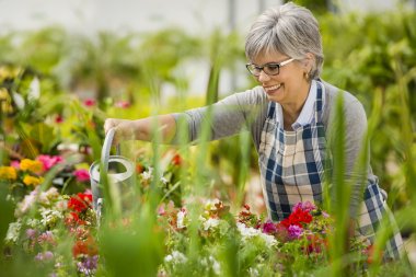 Emotional Benefits of Gardening for Elderly