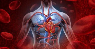 How To Keep Your Vascular System Healthy