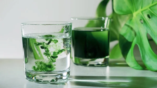 Everything You Should Know About Liquid Chlorophyll
