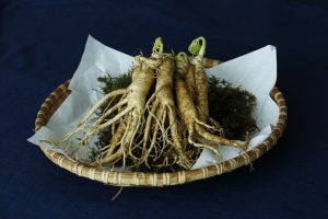 Ginseng root 